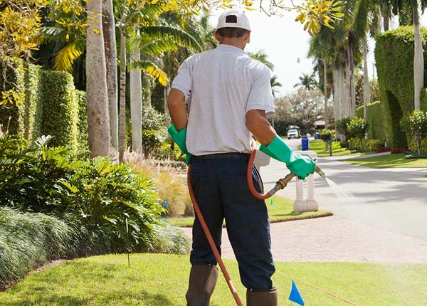About Lakeside Marblehead OH Pest Control